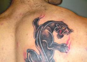 Значения татуировки «Черная пантера Что символизирует пантера